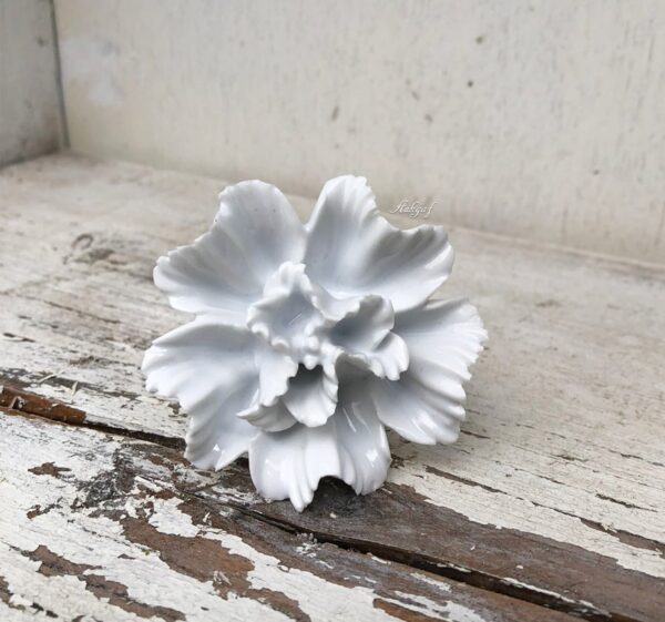 Witte bloem knop