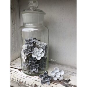 Grijze en witte bloem knoppen